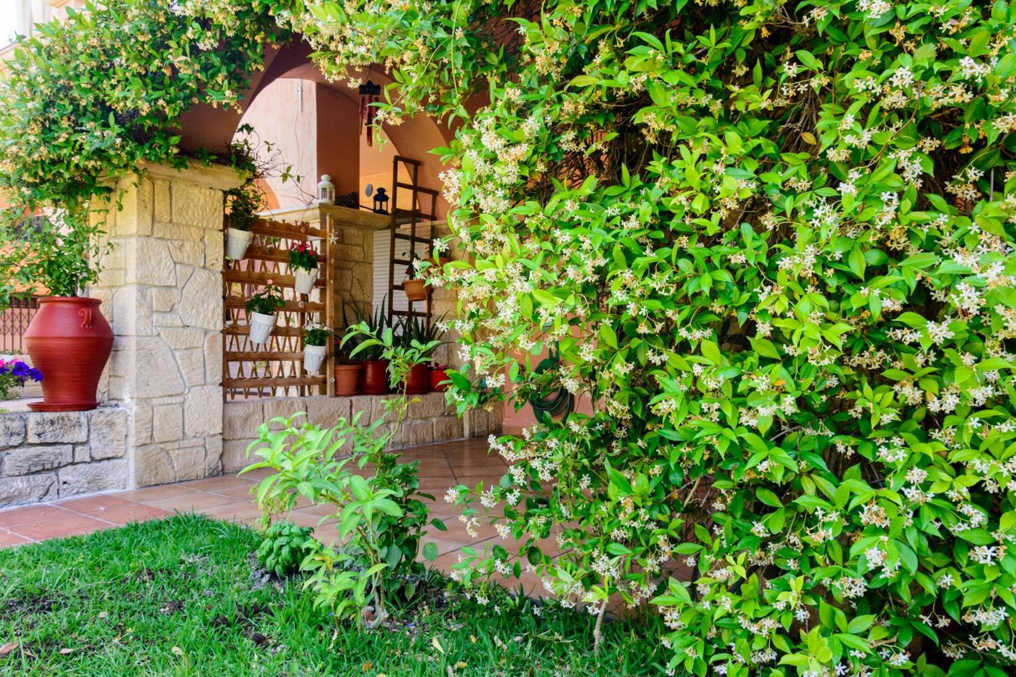 La Luna House Pefkochori Buitenkant foto
